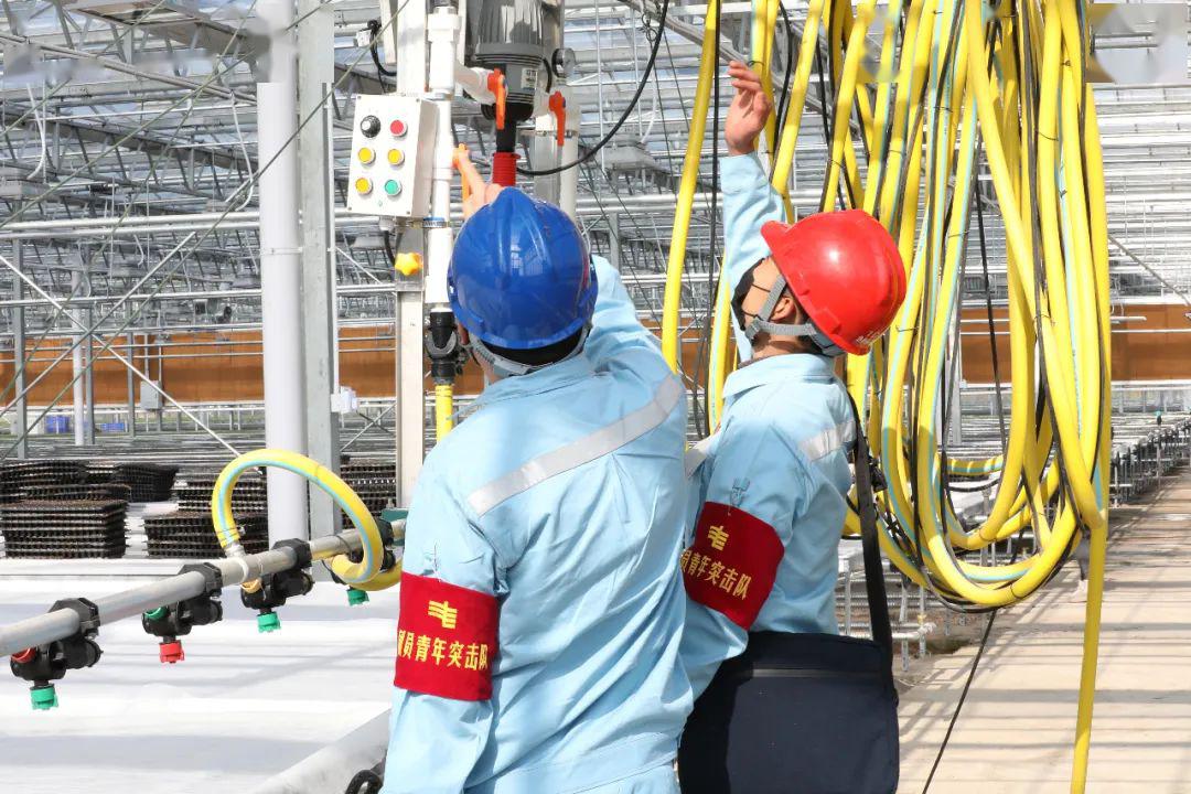 草海機(jī)場(chǎng)最新動(dòng)態(tài)揭秘，建設(shè)進(jìn)展、航班信息及未來展望