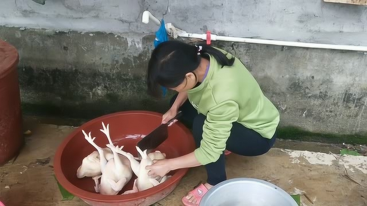 關(guān)于阿梅殺雞視頻的理性分析與網(wǎng)絡(luò)倫理道德探討，警惕涉黃內(nèi)容侵蝕社會(huì)倫理底線。