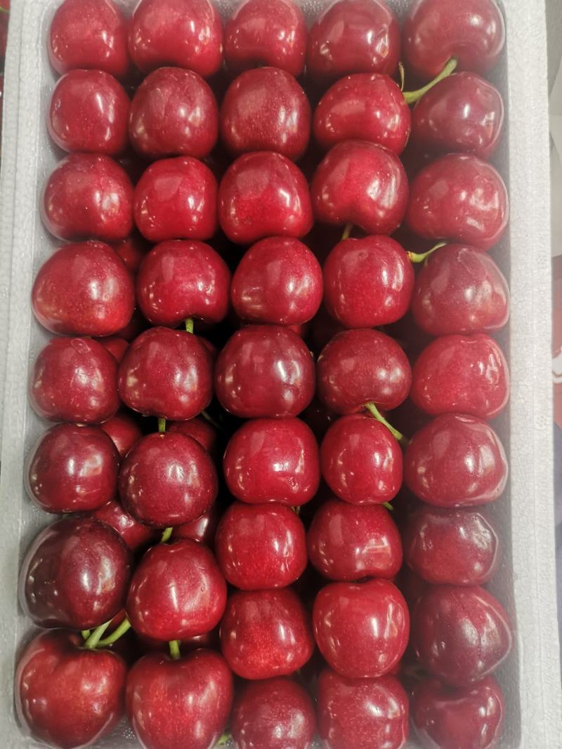 工程廠房燈具 第341頁(yè)