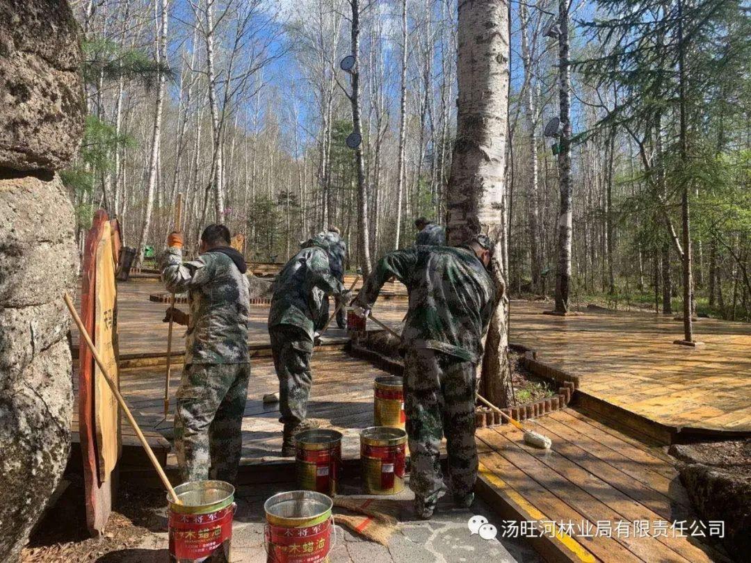 探尋神秘寶石世界的獨(dú)特魅力，最新奇石新聞報(bào)道