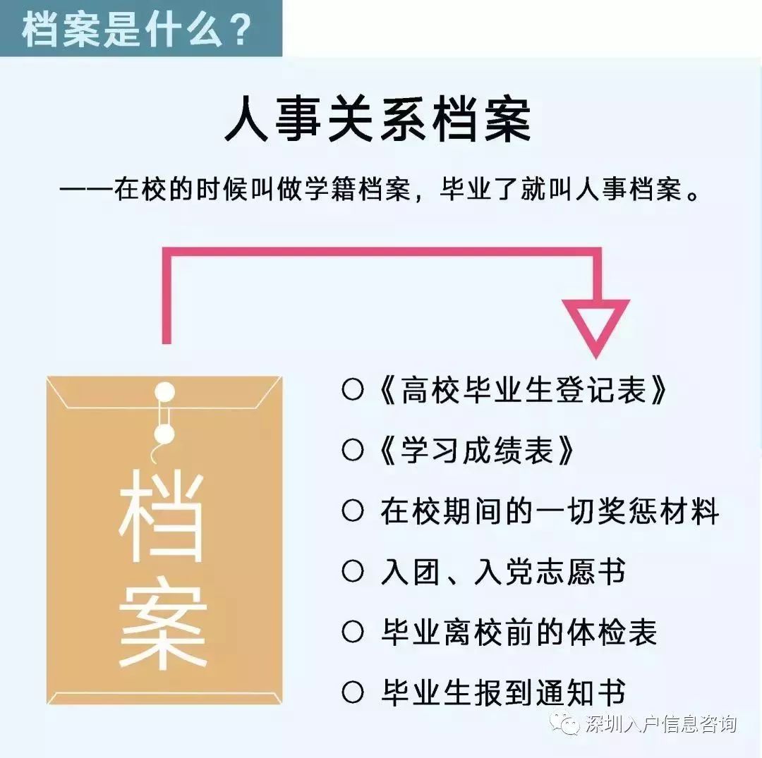 檔案人員補(bǔ)貼最新觀點(diǎn)論述，探討補(bǔ)貼政策與檔案人員發(fā)展的關(guān)系