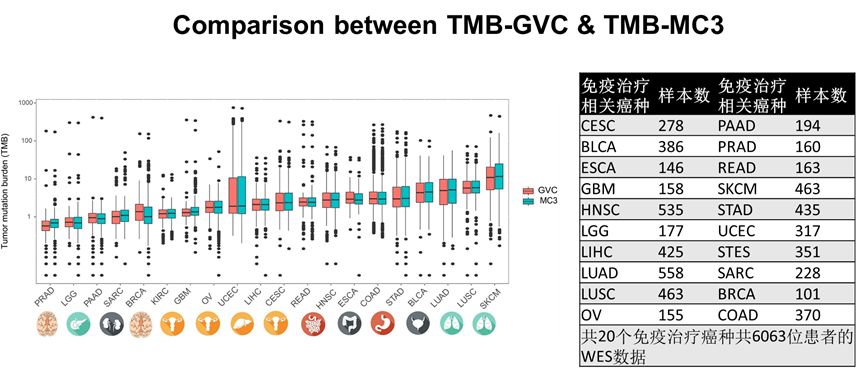 王中王375959cm開獎(jiǎng)結(jié)果,數(shù)據(jù)驅(qū)動(dòng)決策_(dá)SLF27.152融合版