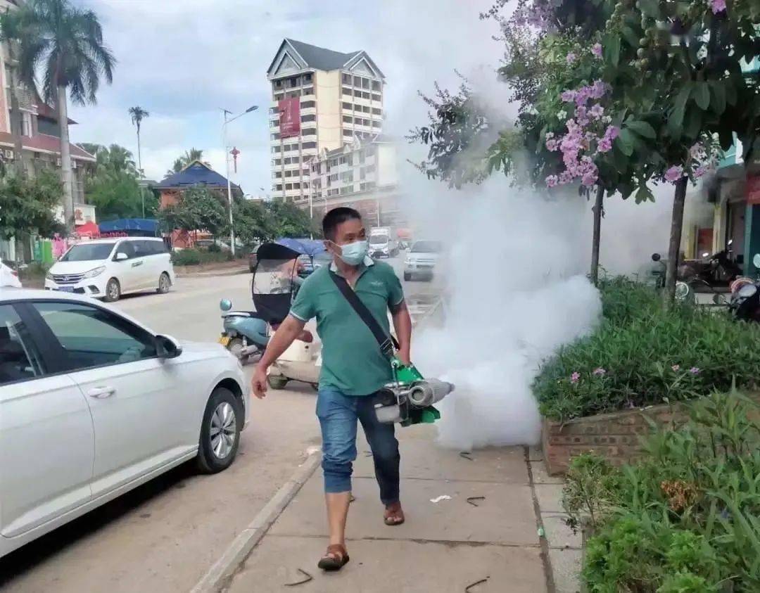 景洪登革熱最新疫情動態(tài)，挑戰(zhàn)與自信之光的博弈