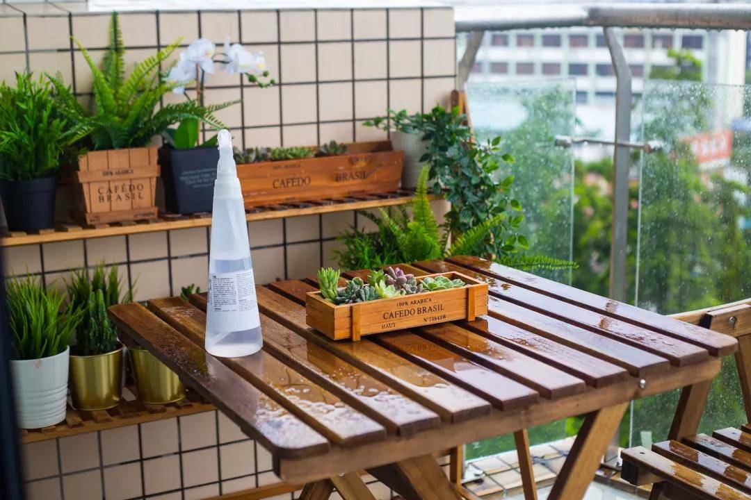 澳門今晚上必開一肖,快速解答方案設(shè)計(jì)_BBH10.637曝光版