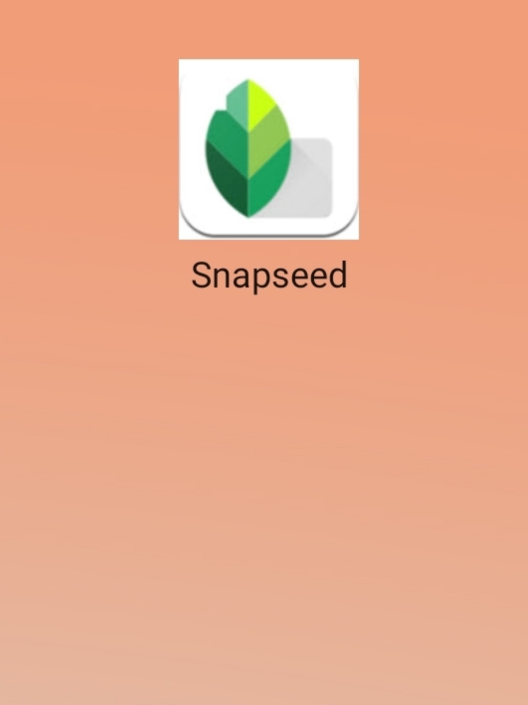 最新snapseed中文版，科技重塑影像，讓生活因攝影更精彩