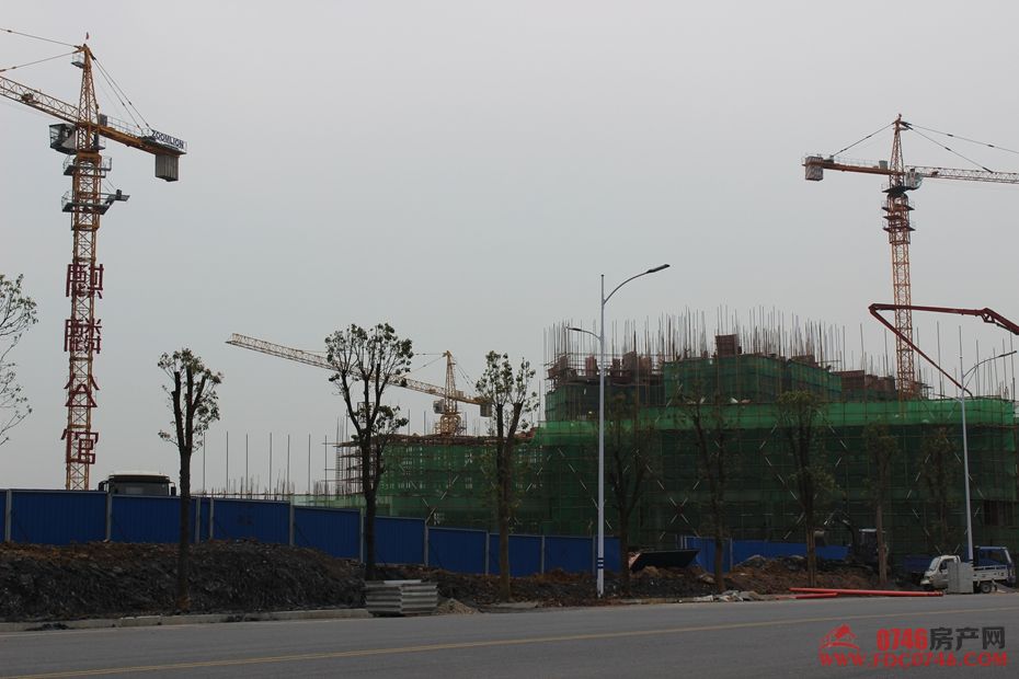 池州麒麟公館最新動態(tài)揭秘，最新進(jìn)展與資訊更新