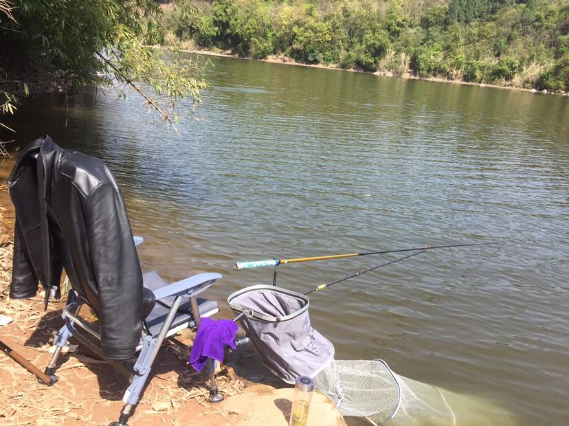 山門寺水庫釣魚最新指南，垂釣攻略與技巧分享