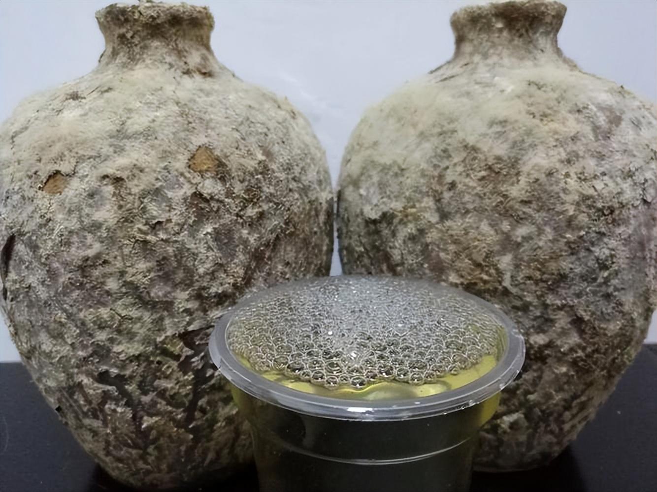 仁懷房屋出售最新信息，科技與家居融合，未來(lái)家居新體驗(yàn)重磅推出