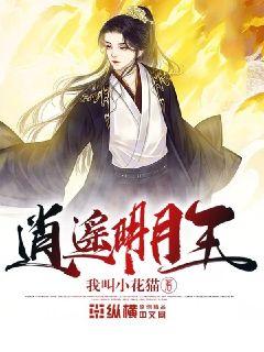 時代之光下的璀璨篇章，明月珰最新連載熱議熱議熱議！