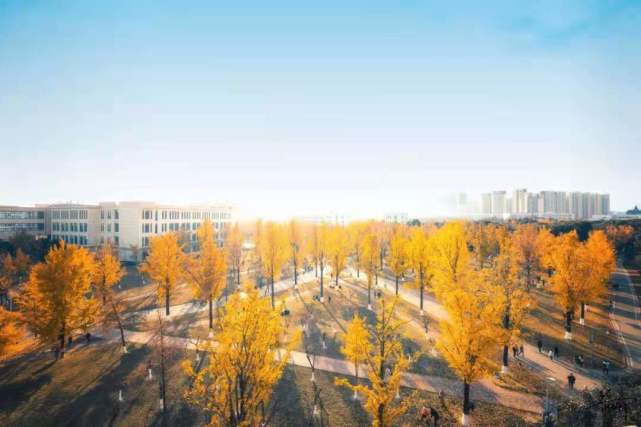 新澳2024今晚開獎(jiǎng)資料澳門正版圖,科學(xué)解釋分析_KCD85.482定義版