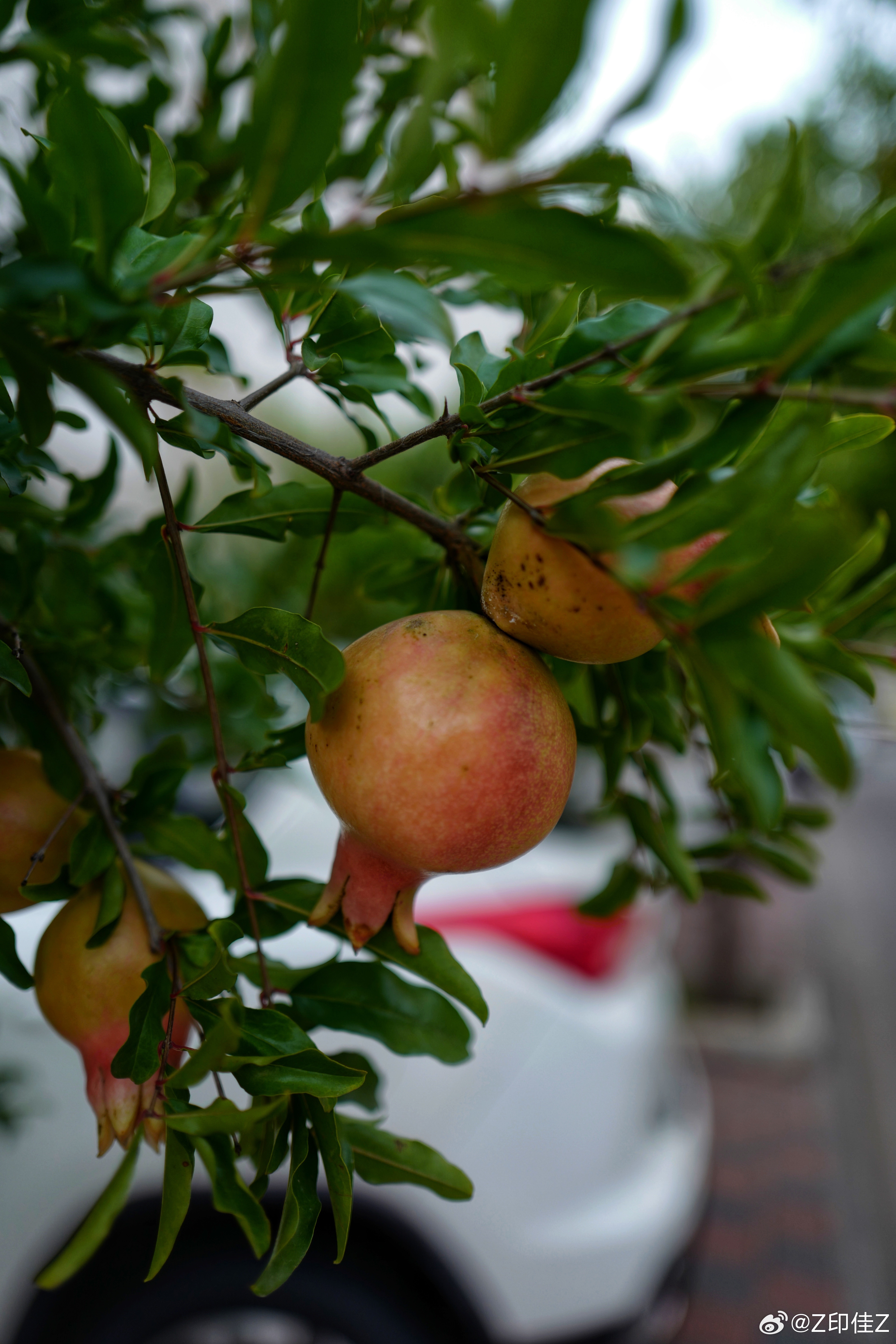 工礦燈具 第293頁