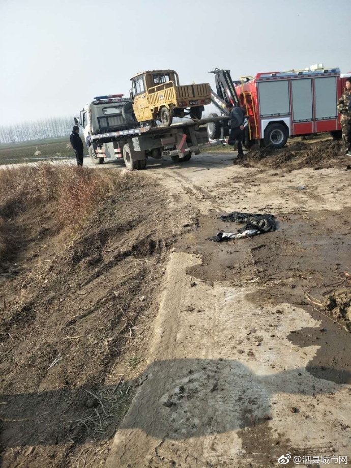 泗縣車禍悲劇，警醒與深思背后的最新新聞報道