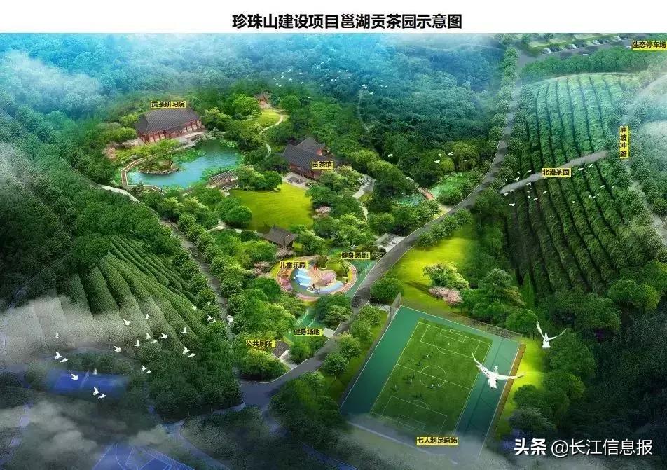 岳陽北港小學(xué)最新動態(tài)揭秘，校園新聞與活動更新