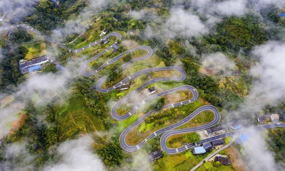 奉節(jié)云霧鄉(xiāng)的最新動態(tài)與溫馨日常，云霧中的快樂時光