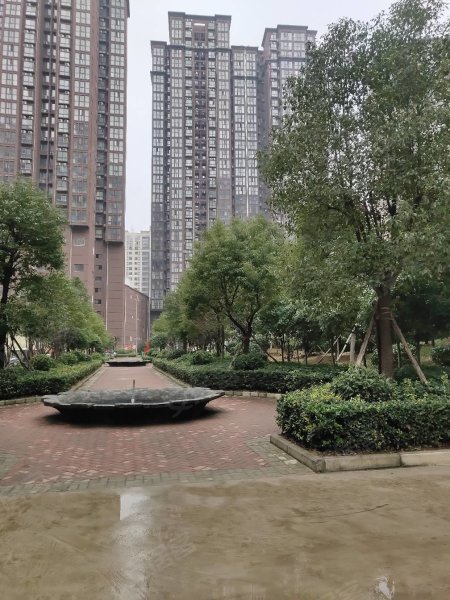 南陽(yáng)盛世御苑最新動(dòng)態(tài)揭秘，全面指南與步驟詳解