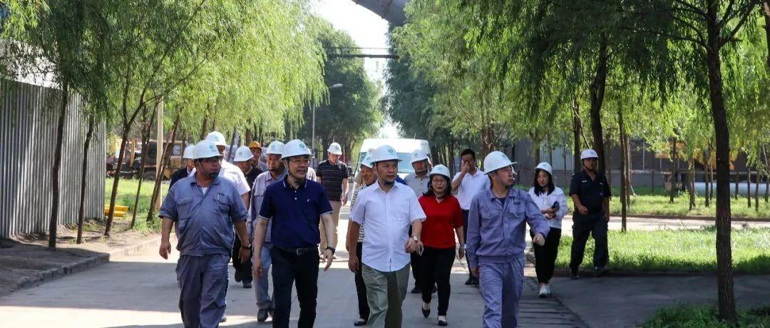 最新鍋爐工招聘信息揭秘，鍋爐工的溫馨日常故事探索