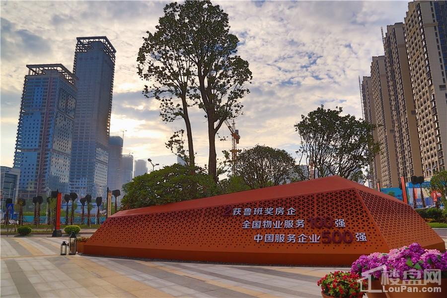 南寧彰泰城最新動態(tài)，解讀其最新發(fā)展及影響的一種觀點(diǎn)分析