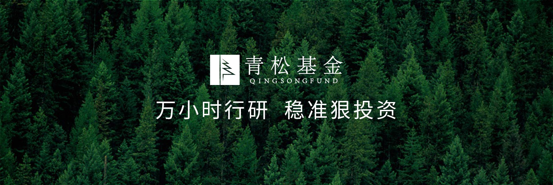 長(zhǎng)青樹眾籌最新動(dòng)態(tài)，背景、發(fā)展與時(shí)代地位探索