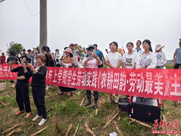 桃源木塘垸鄉(xiāng)新動態(tài)，趣事連連，真摯友情綻放鄉(xiāng)間