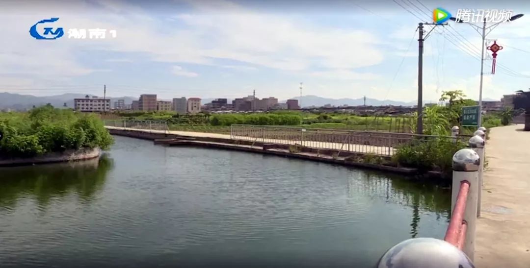 仙城鎮(zhèn)七陂村最新動態(tài)更新??