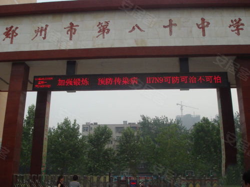 中原區(qū)九龍城最新動態(tài)深度解析，最新進(jìn)展與觀點闡述