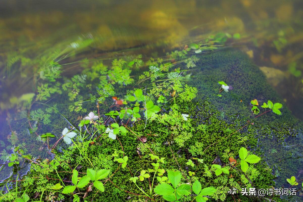 南山高樓崛起，背景、發(fā)展與時(shí)代地位全景解析