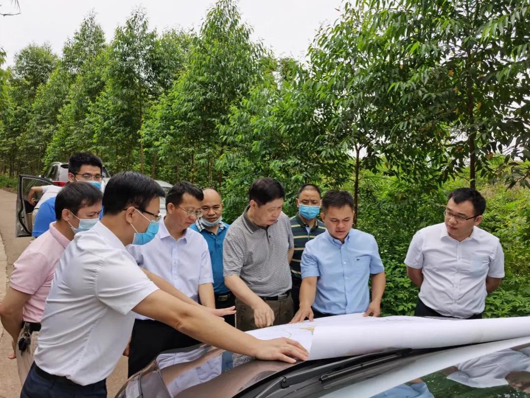 南寧龍象谷最新資訊，游玩指南與技能學習步驟全解析