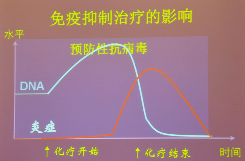 肝炎新進(jìn)展揭秘，小巷深處的秘密小店探索