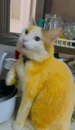 男友最新動態(tài)，科技巔峰之作，引領未來生活新紀元風潮