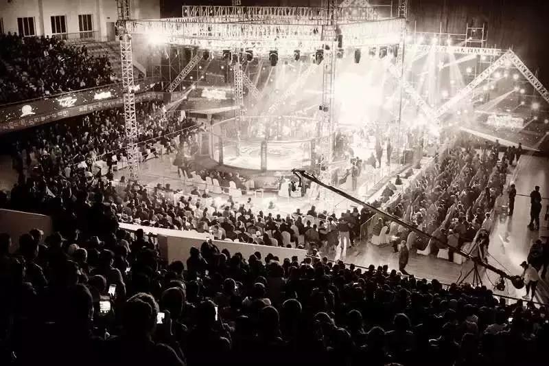 武林籠中對最新一期，自然美景中的對決與內(nèi)心平靜之旅