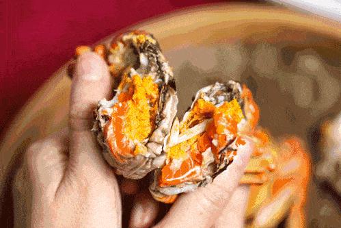 ??陽澄湖螃蟹上市季節(jié)情報，吃貨必知的秋季美味盛宴！??