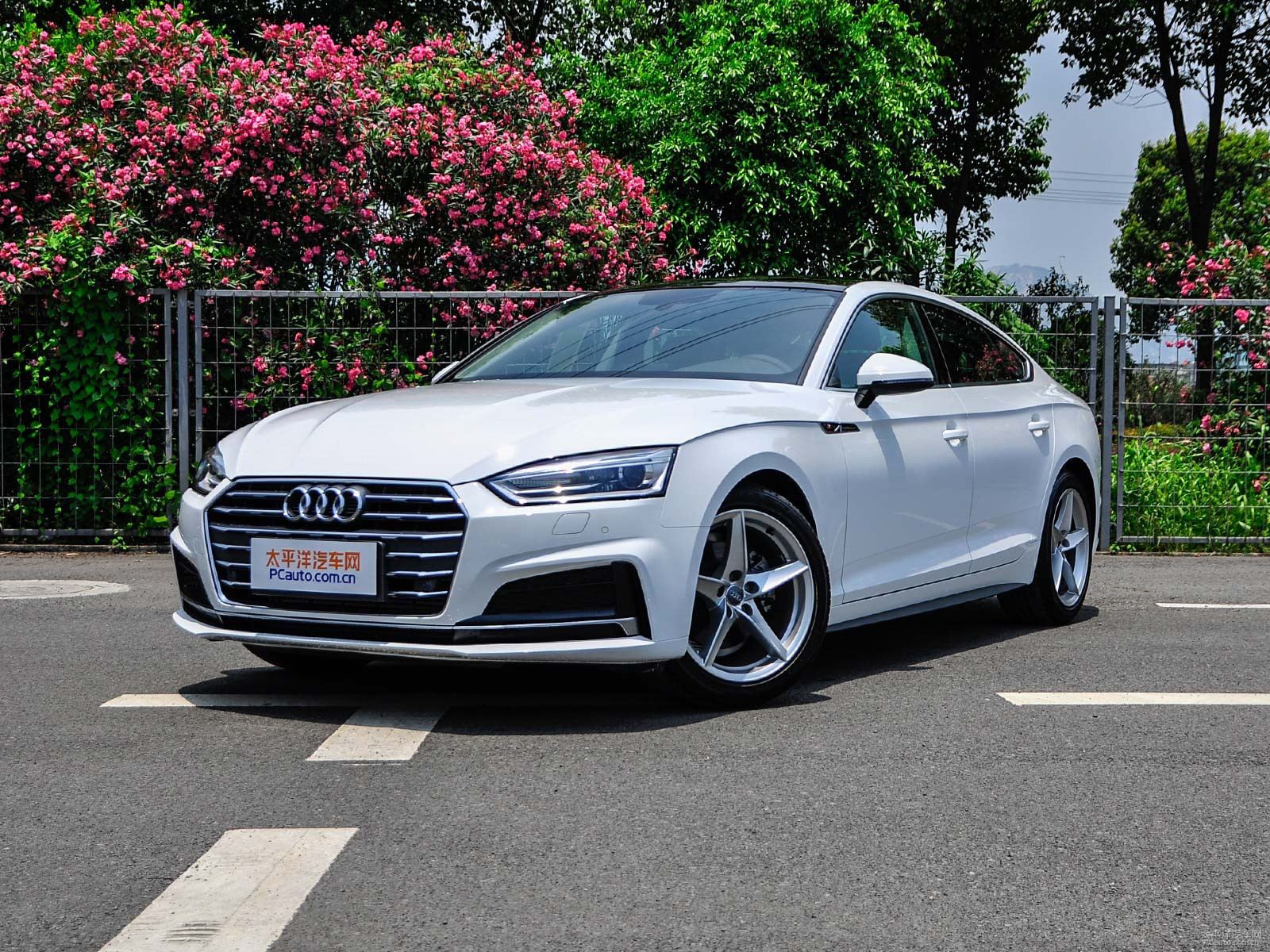 新款奧迪A5價格及圖片，自然美景探索之旅的絕佳選擇