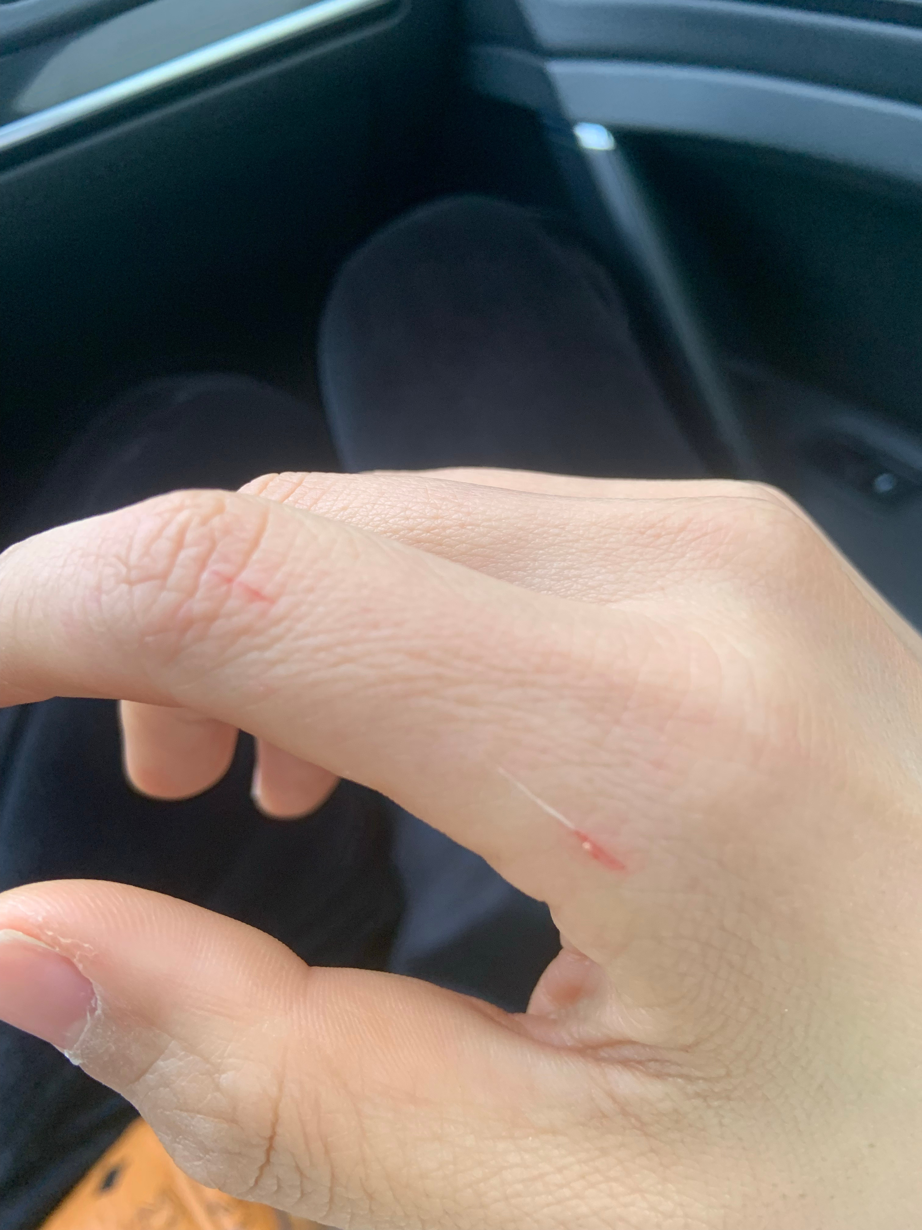 最新口子，開啟學(xué)習(xí)之旅，擁抱變化的力量