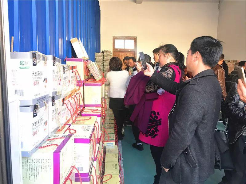 最新職業(yè)資訊，洞悉行業(yè)趨勢與人才需求洞察