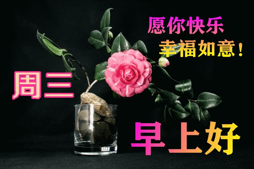 最新早晨問候動態(tài)表情包，溫馨問候，從表情開始！