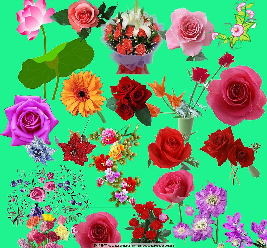 最新花款下載，愛(ài)與陪伴的溫馨之旅