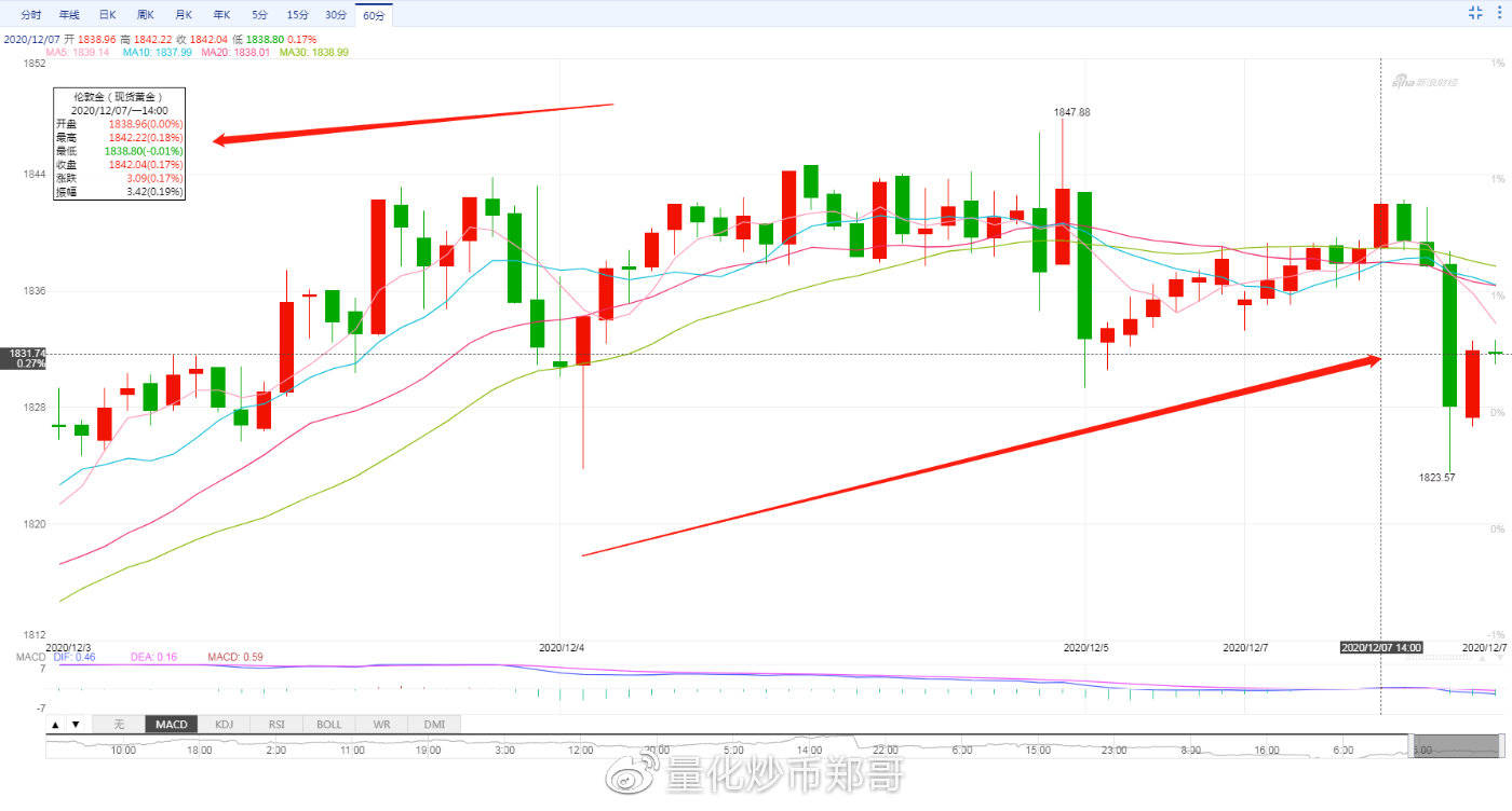 外匯今日行情，市場波動與溫馨故事交織的旅程