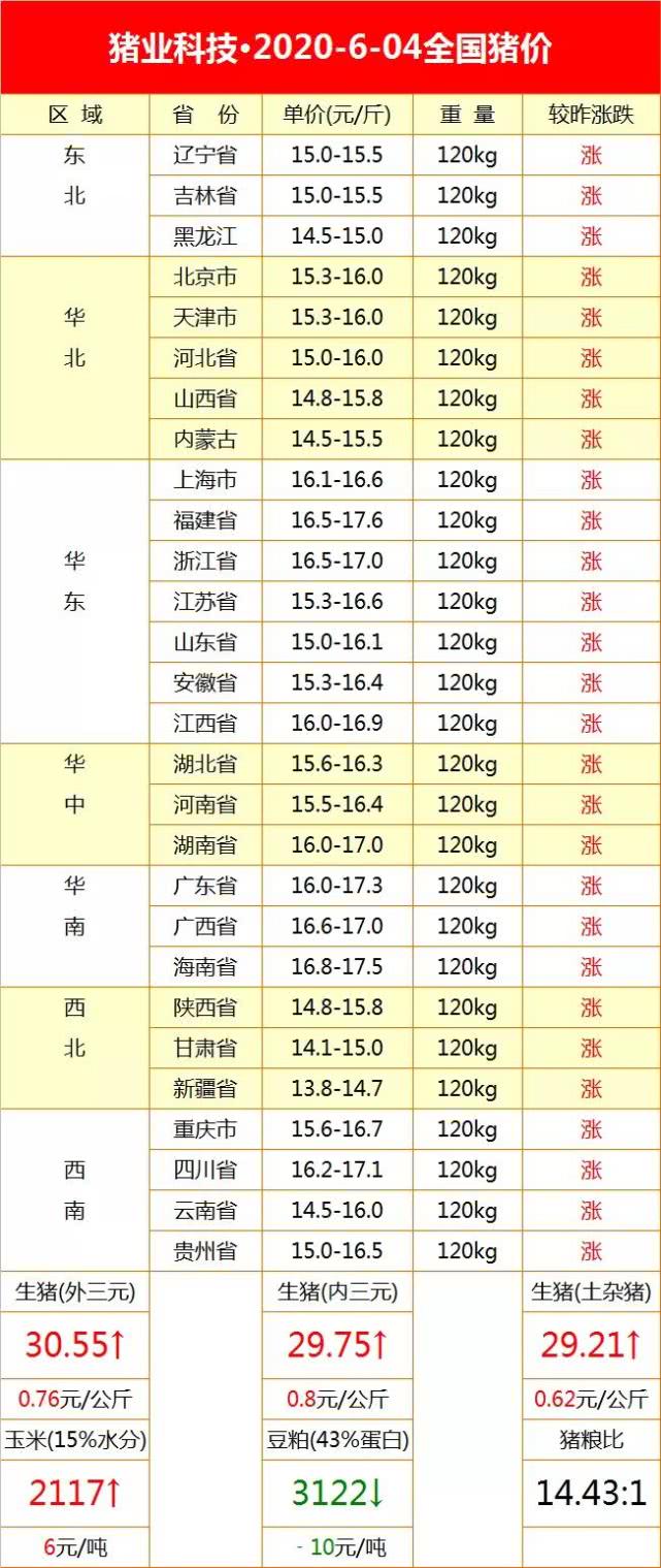 全國(guó)最新生豬價(jià)格今日豬價(jià)走勢(shì)，詳細(xì)步驟指南