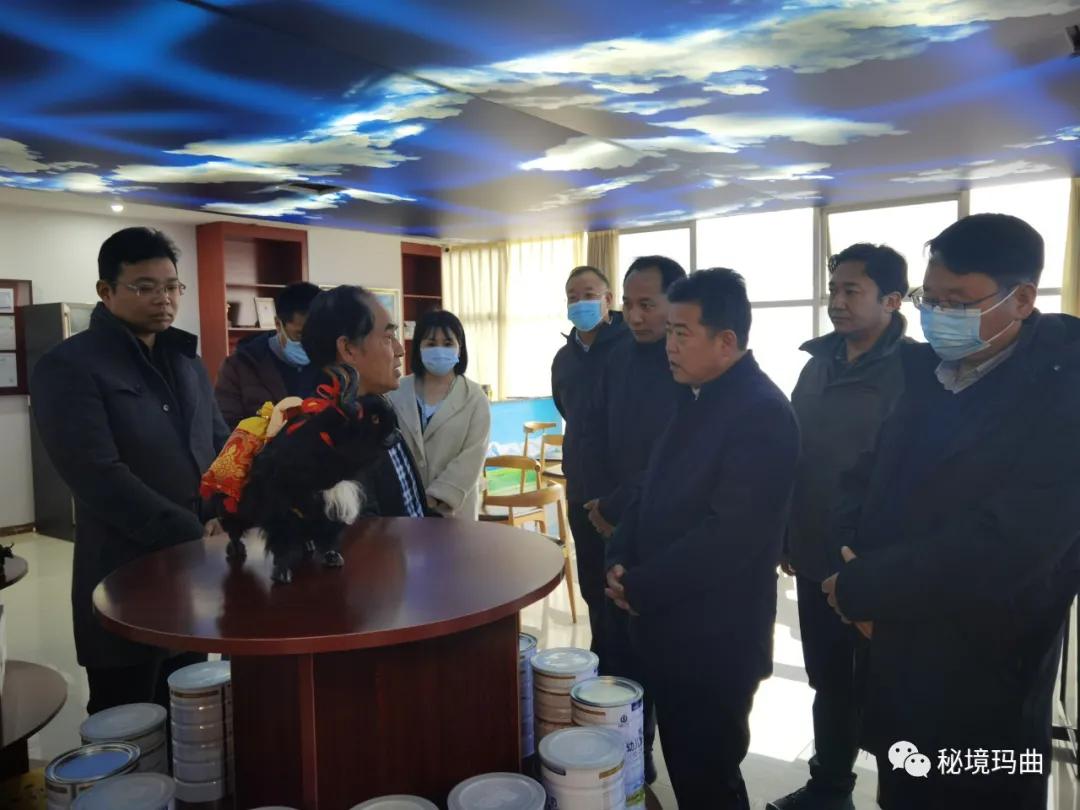 高原之寶上市，學(xué)習(xí)、蛻變與自信的輝煌之旅