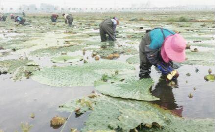 王碼五最新版，鍵盤上的友情與家的溫馨體驗