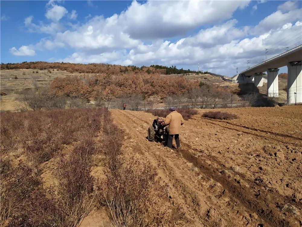 揭秘衡陽張家山規(guī)劃更新，小巷風情與隱藏小店的獨特魅力