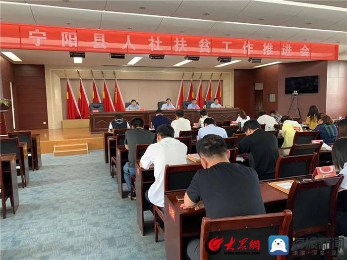 寧陽網(wǎng)最新資訊，城市中的溫情日常