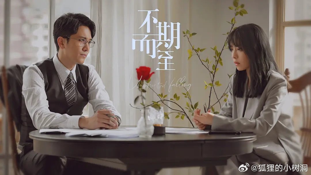 不期而至電視劇，從入門到進階的觀看指南