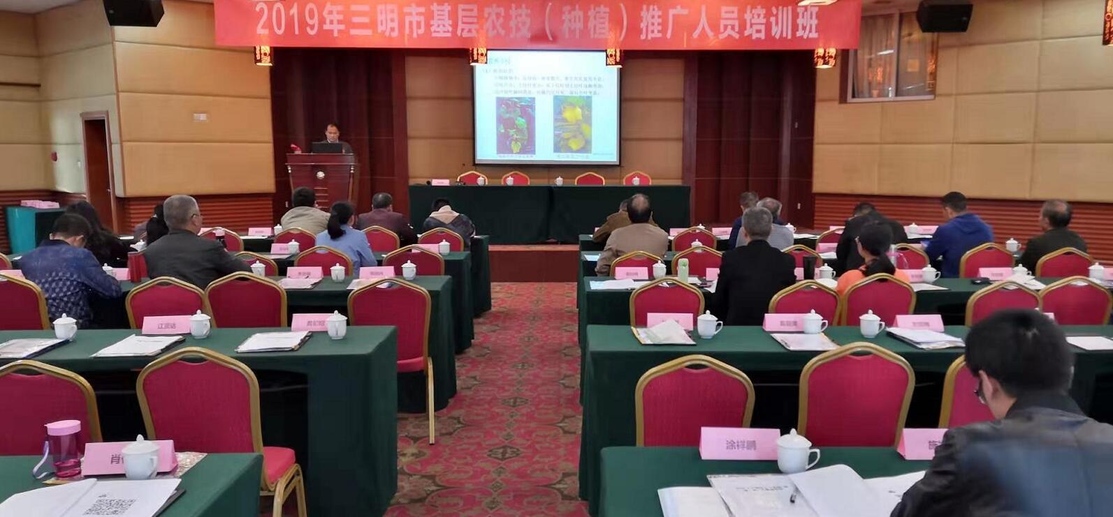 豇豆最新，廚房中的友情與家的溫馨