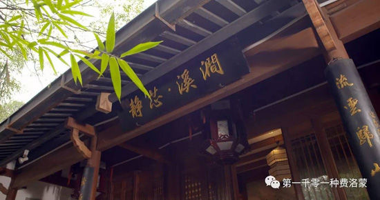 高密西湖茶樓最新資訊，一壺茶，品味溫情時光