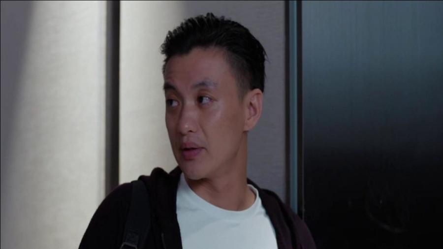 郭鑫年最新動(dòng)態(tài)揭秘，小巷特色小店探索之旅