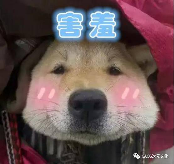 最新狗狗動(dòng)畫大盤點(diǎn)