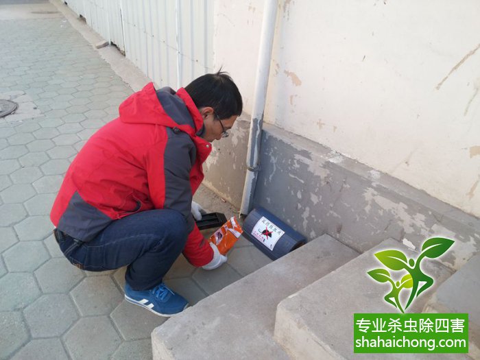 最新滅鼠技術(shù)的觀(guān)點(diǎn)論述與立場(chǎng)闡述，創(chuàng)新方法的探索與挑戰(zhàn)