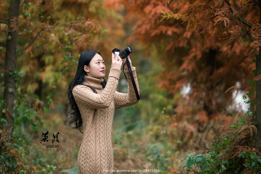 伊人在線電影，探索現(xiàn)代網(wǎng)絡(luò)影視的新境界