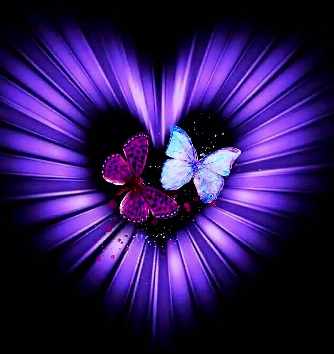 最新情感交流圈，學(xué)習(xí)、成長(zhǎng)與自信的力量之源